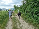 20240707_171803.jpg