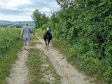 20240707_171804(0).jpg