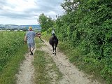 20240707_171804.jpg
