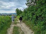 20240707_171806.jpg
