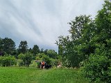 20240707_180735(0).jpg