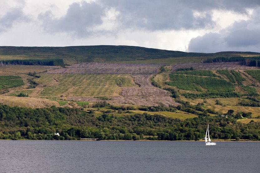 Schottland_032