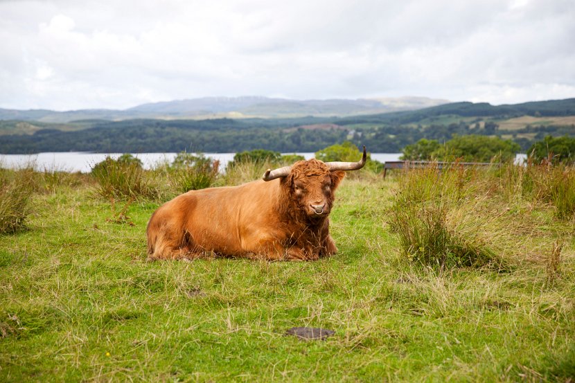 Schottland_053