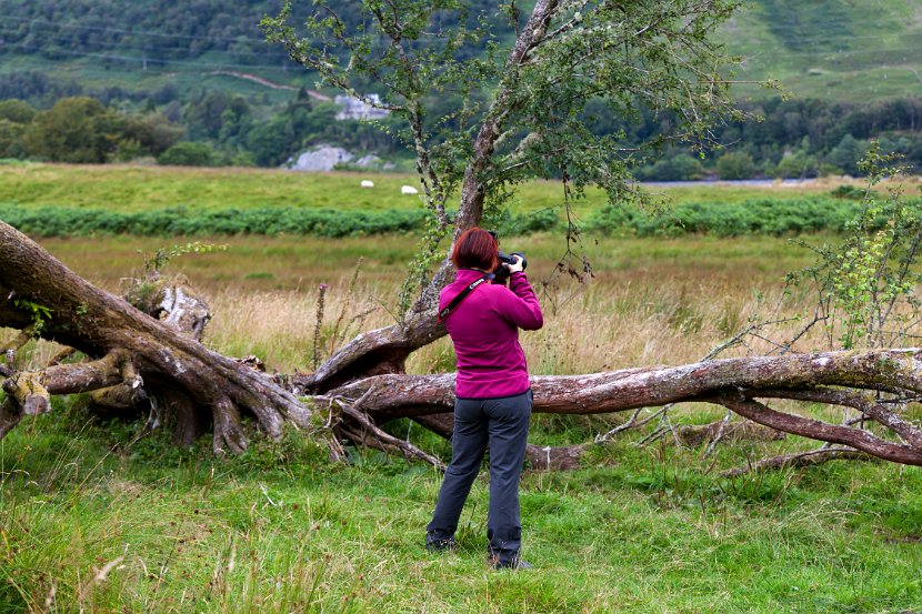 Schottland_075