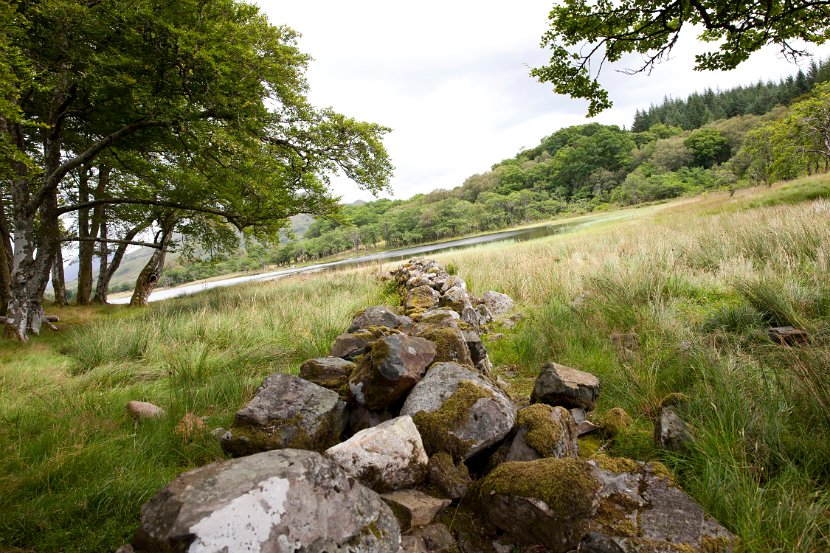 Schottland_082