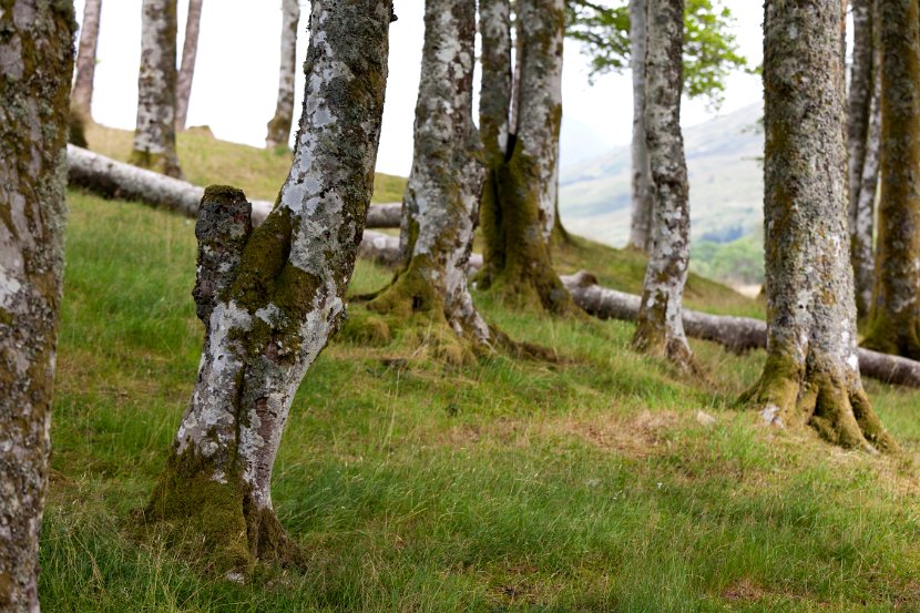 Schottland_083