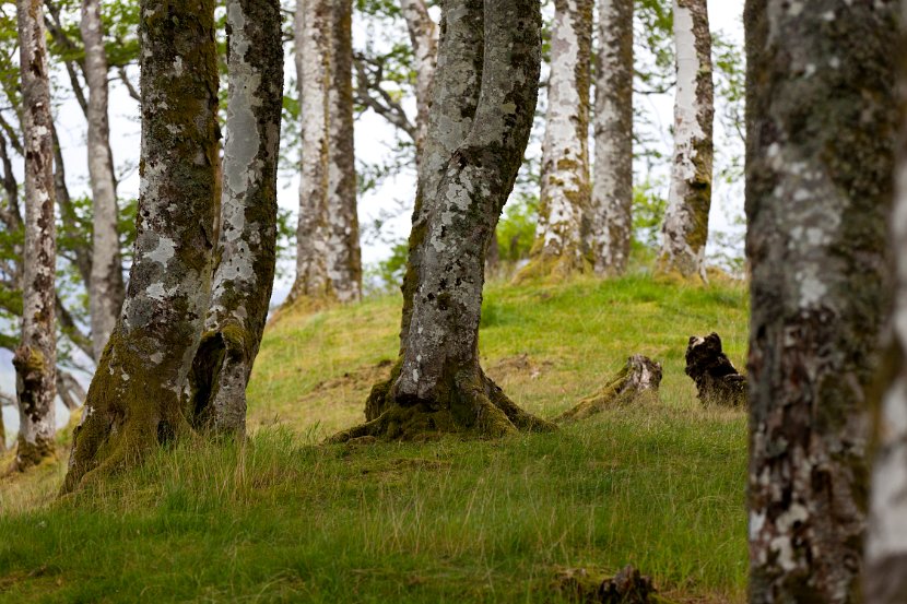 Schottland_084