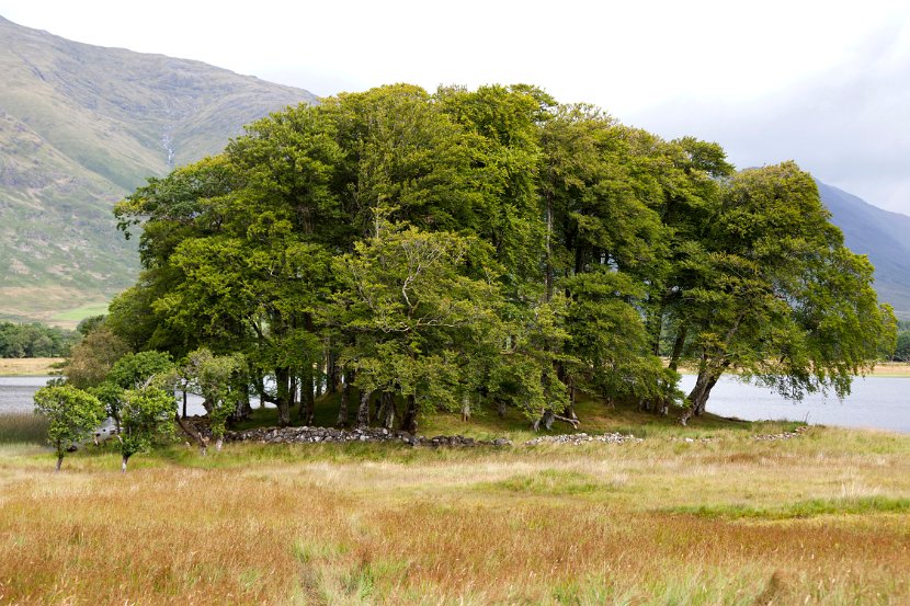 Schottland_097