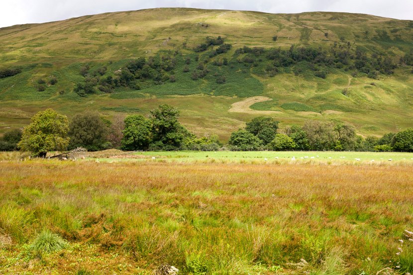 Schottland_099