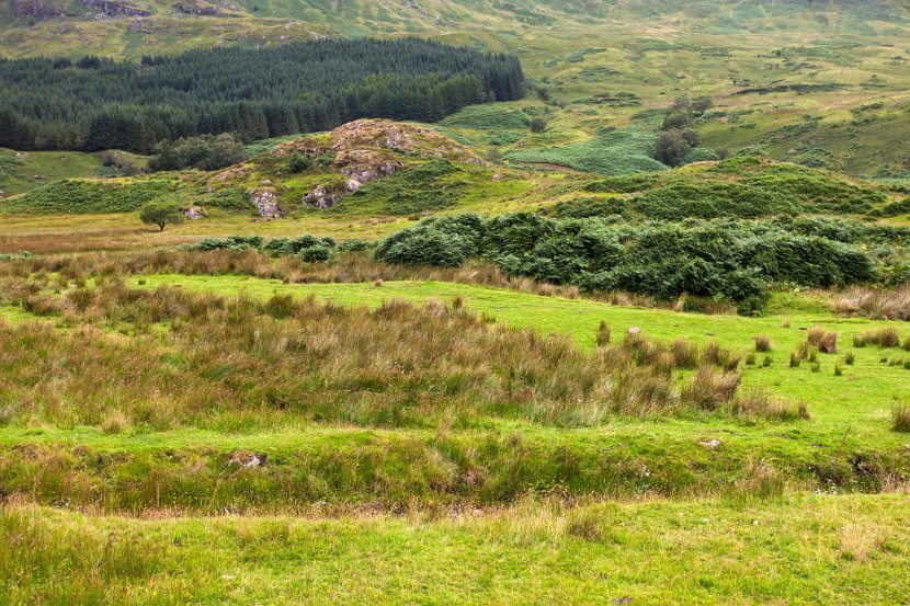 Schottland_108