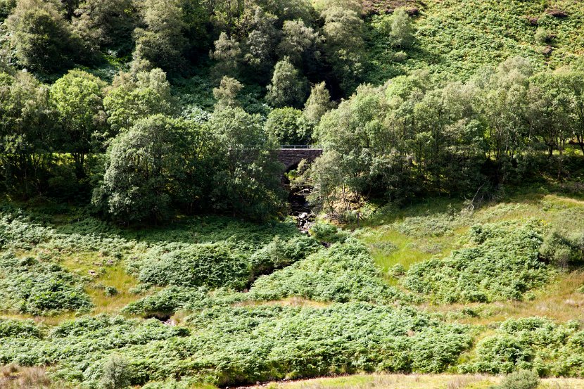 Schottland_123