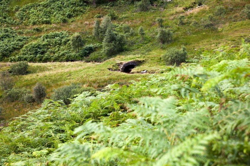 Schottland_126