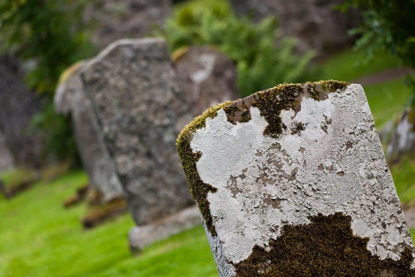 Schottland_151