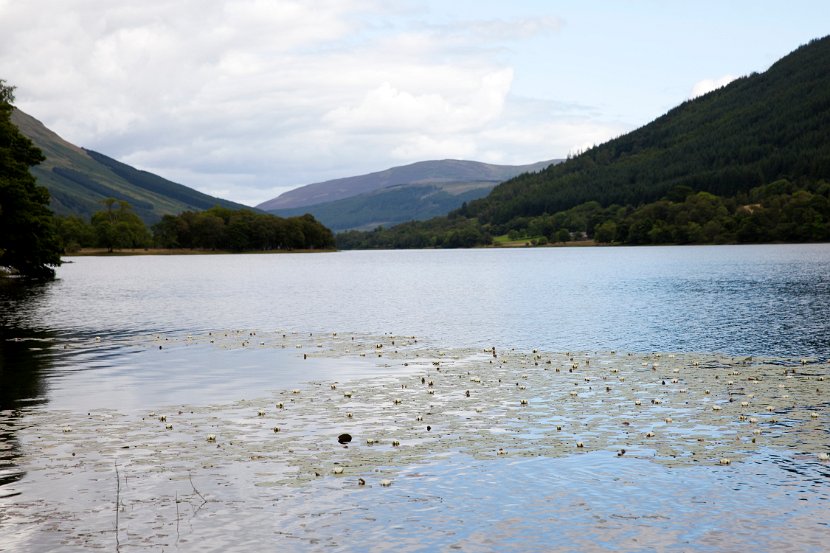 Schottland_209