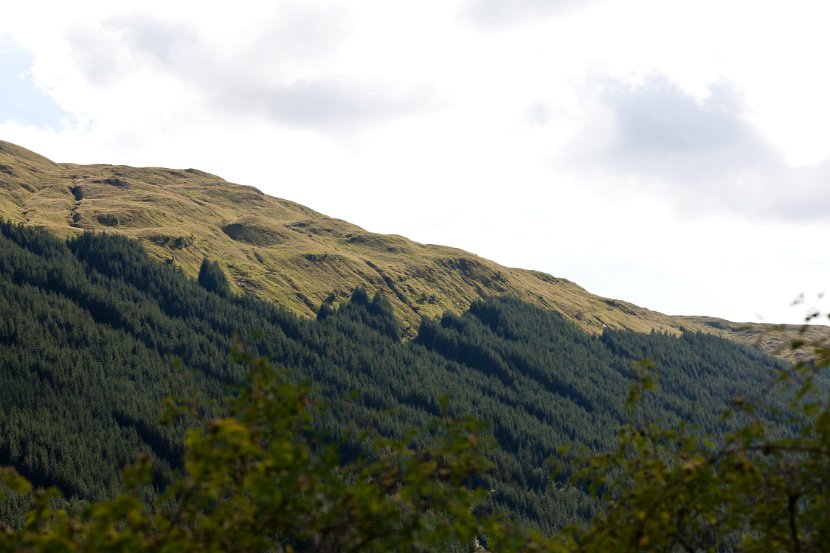 Schottland_238