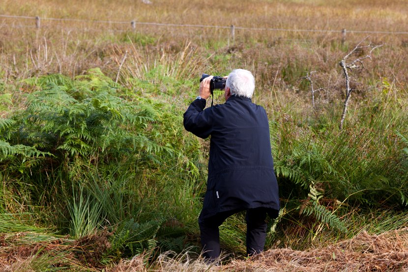 Schottland_421