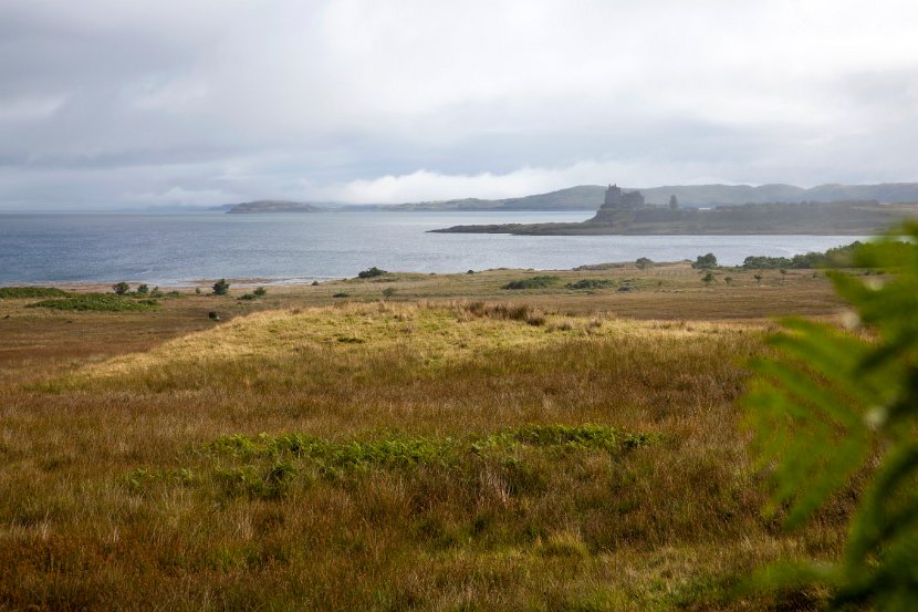 Schottland_430