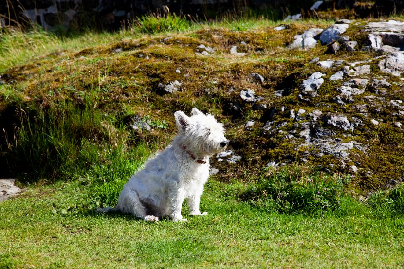 Schottland_449