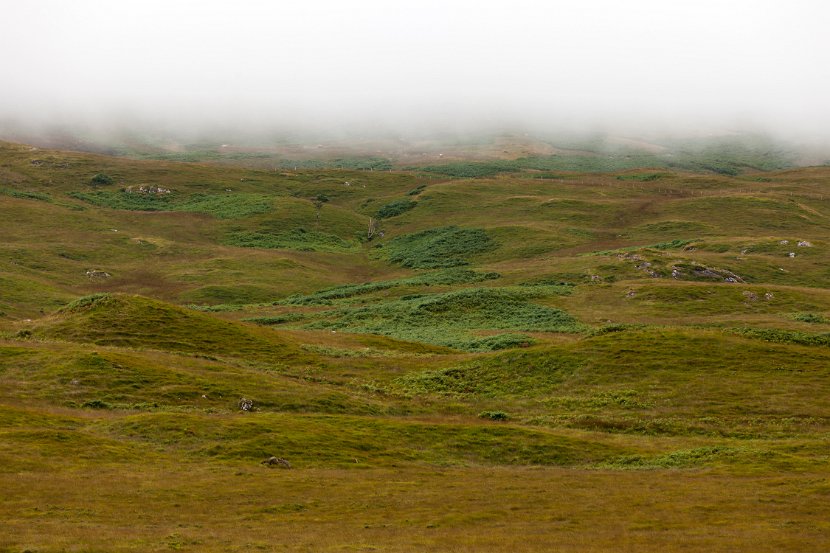 Schottland_479
