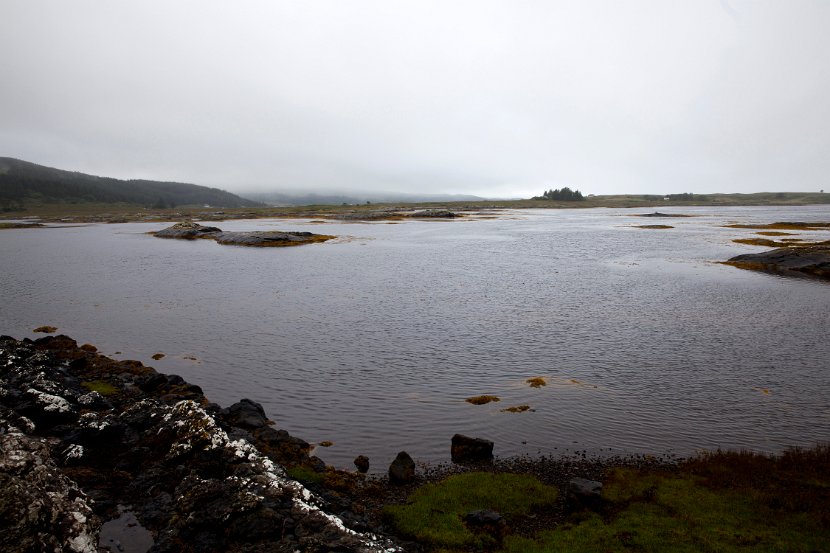 Schottland_486