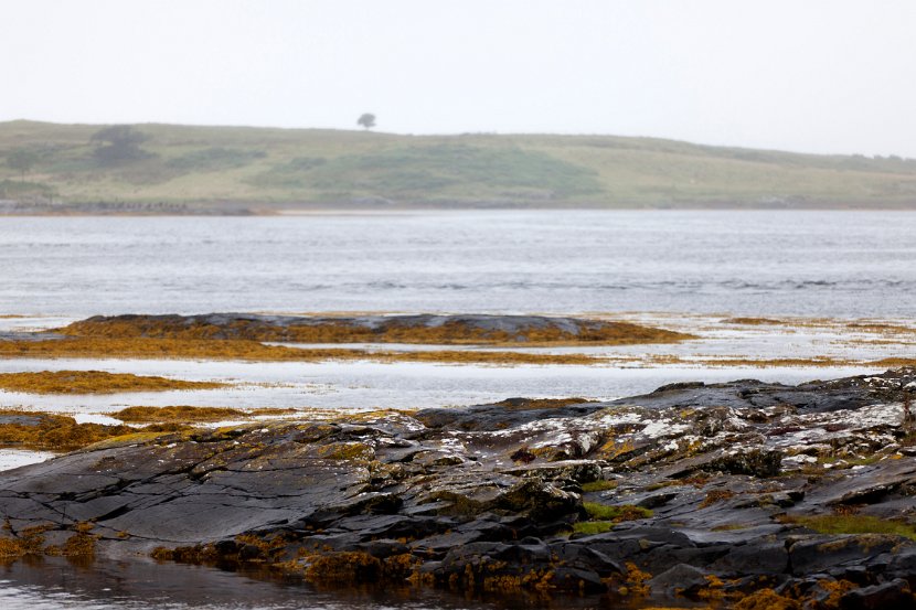 Schottland_492