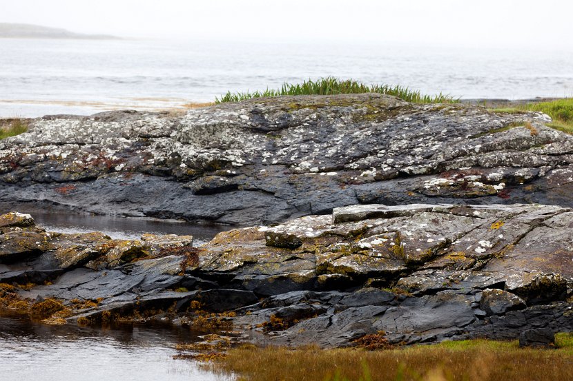 Schottland_493