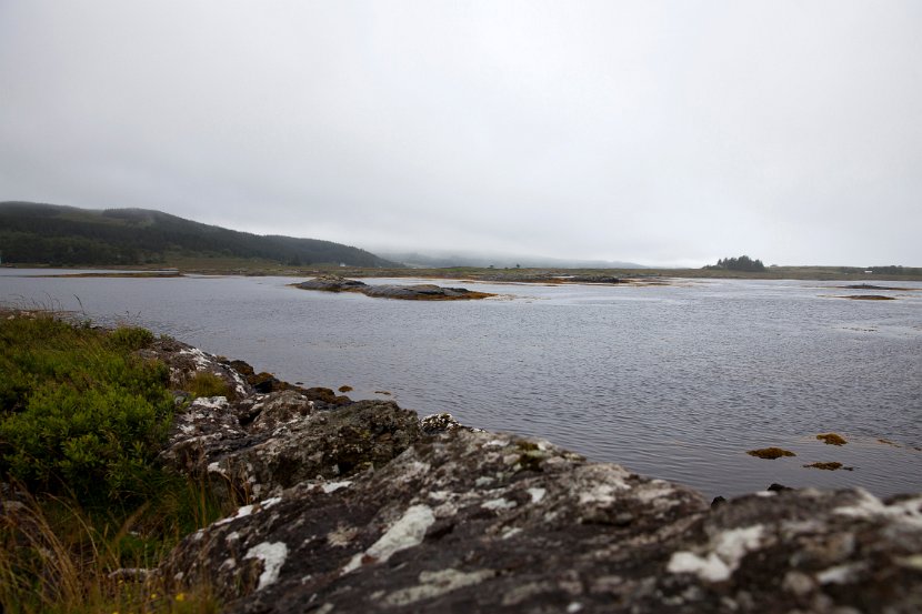 Schottland_494