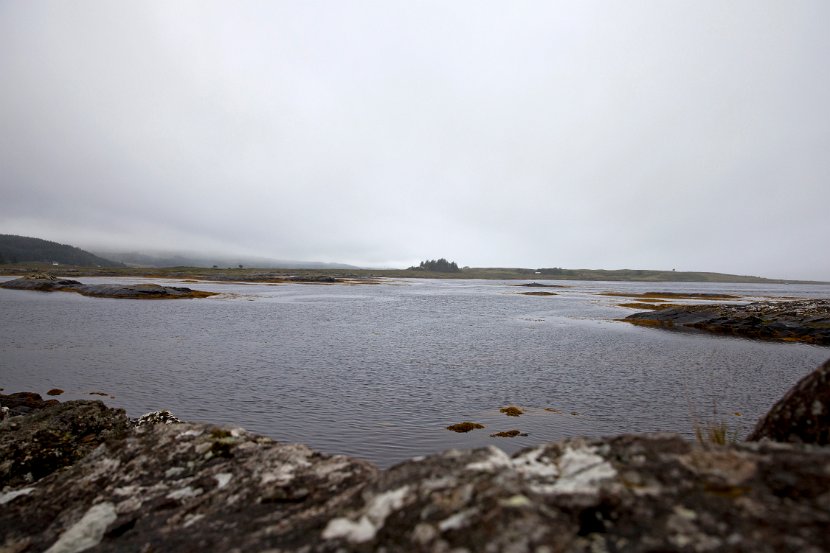 Schottland_496