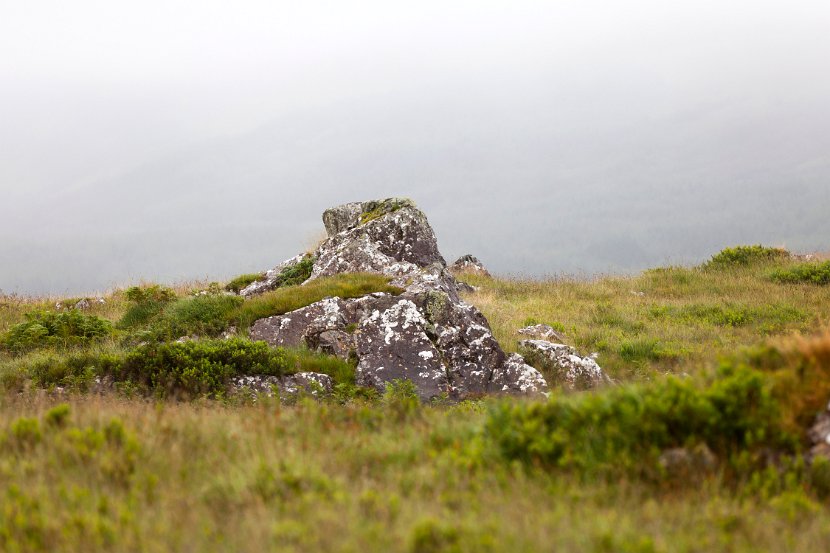 Schottland_498