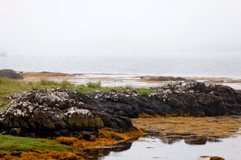 Schottland_500