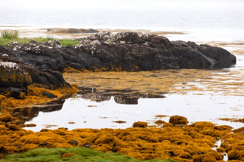 Schottland_503