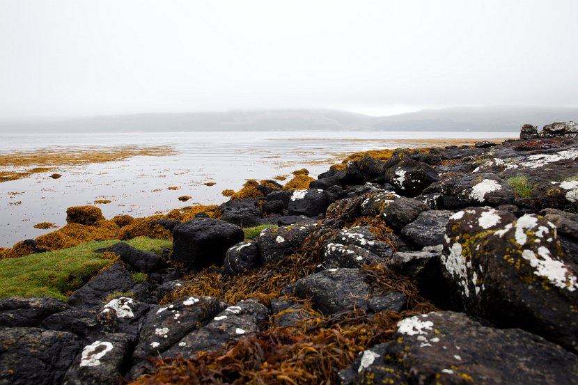 Schottland_505