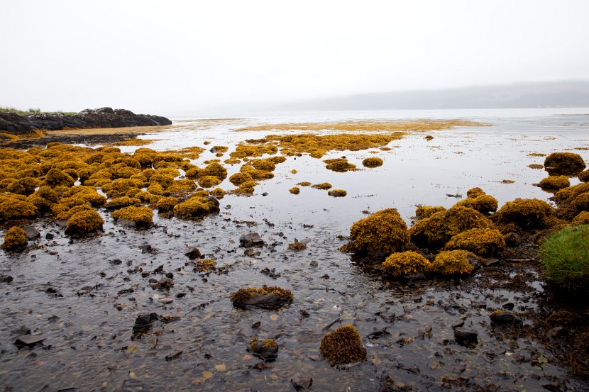 Schottland_508