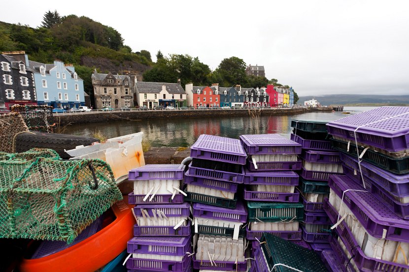 Schottland_522