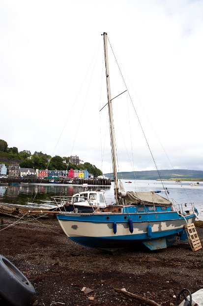 Schottland_528