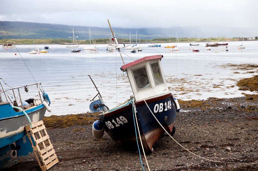 Schottland_529