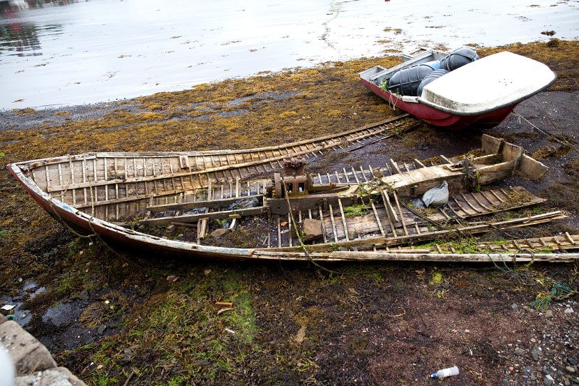 Schottland_531