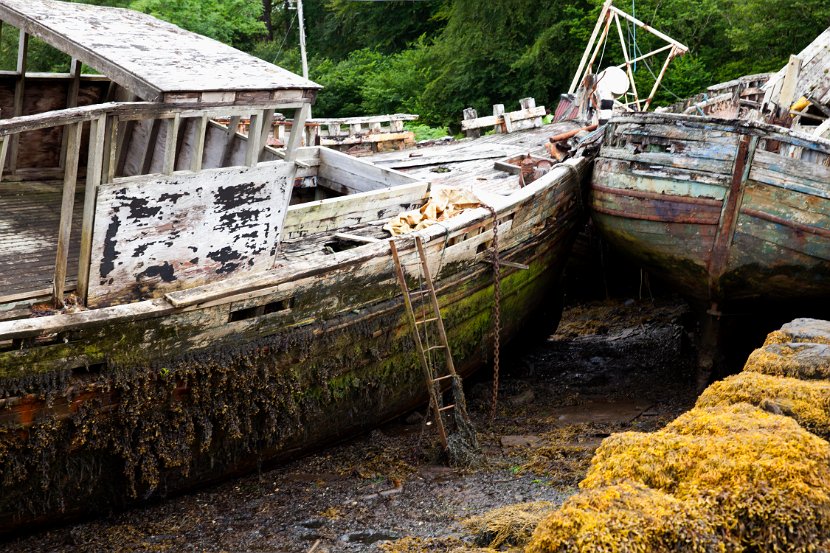 Schottland_541