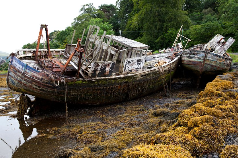 Schottland_542