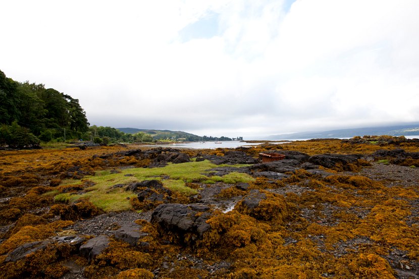 Schottland_545