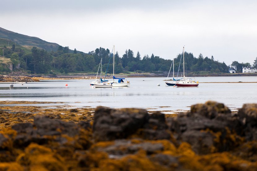 Schottland_546