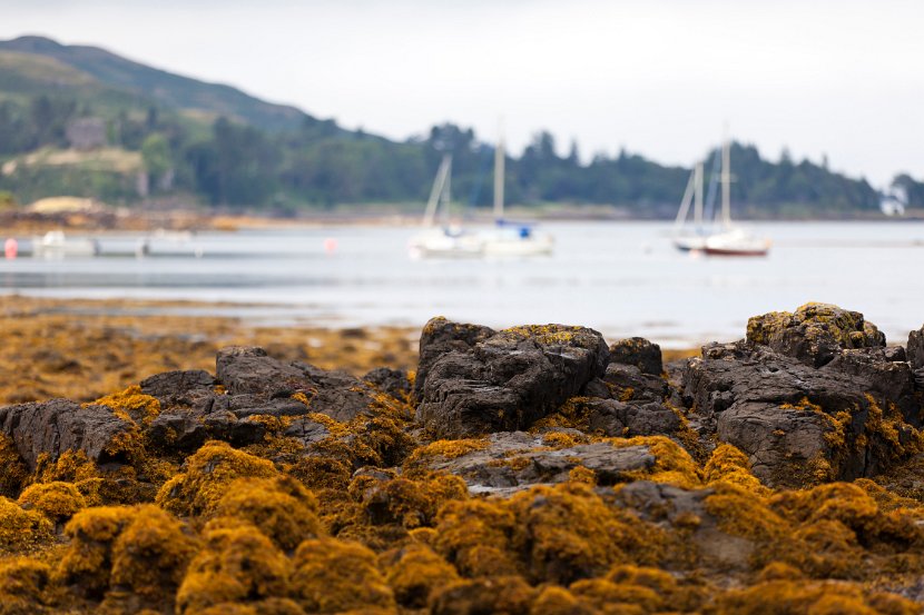 Schottland_558
