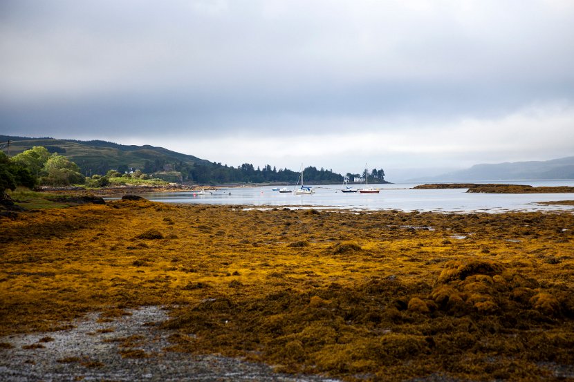 Schottland_566
