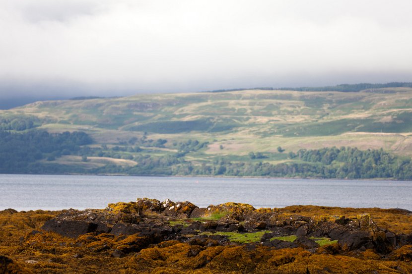 Schottland_567