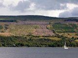 Schottland_032.jpg