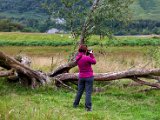 Schottland_075.jpg
