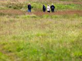 Schottland_080.jpg