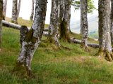 Schottland_083.jpg