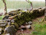 Schottland_087.jpg