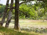 Schottland_090.jpg